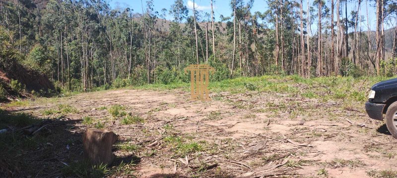 Áreas rurais a venda em Monteiro Lobato - SP  MONTEIRO LOBATO - 
