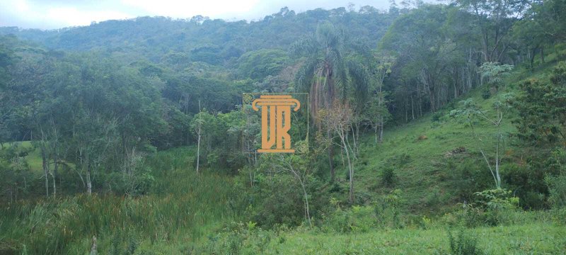 Sitio em Monteiro Lobato - SP com 36.000m²  MONTEIRO LOBATO - 
