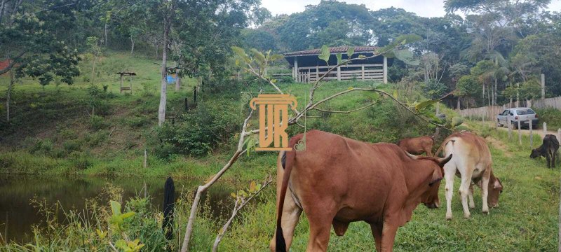 Sitio em Monteiro Lobato - SP com 36.000m²  MONTEIRO LOBATO - 