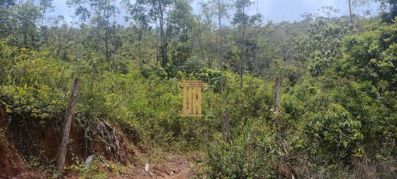 Área de 5 hectares a venda em Monteiro Lobato - SP  São José dos Campos - 