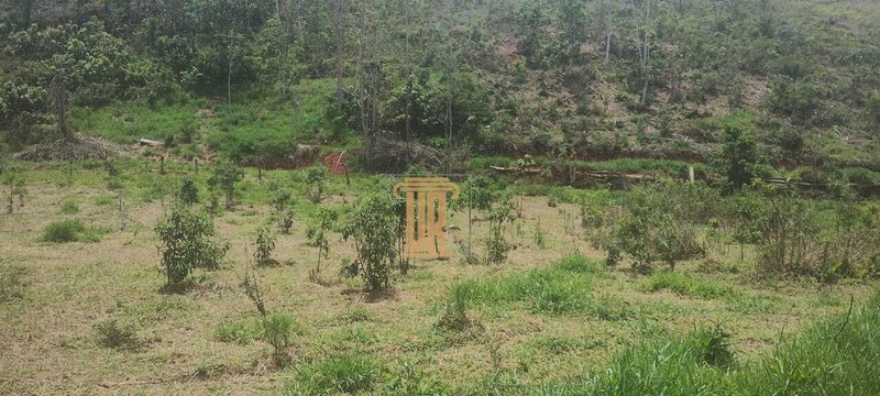 Área de 5 hectares a venda em Monteiro Lobato - SP  São José dos Campos - 