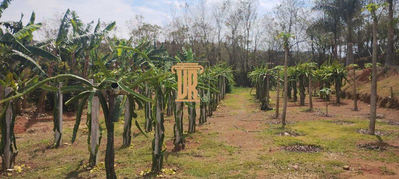 Chácara a venda em condomínio de Jambeiro - SP com 6.550m²  São José dos Campos - 