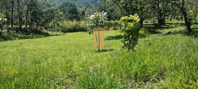 Sitio de 6,5 alqueires a venda em Monteiro Lobato-SP com 2 casas  São José dos Campos - 