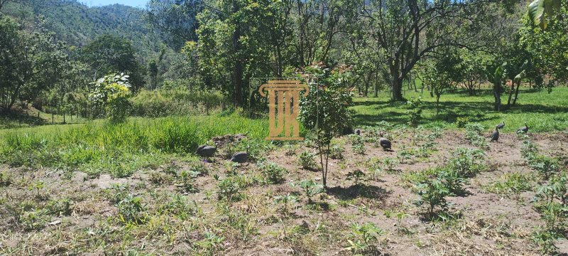 Sitio de 6,5 alqueires a venda em Monteiro Lobato-SP com 2 casas  São José dos Campos - 