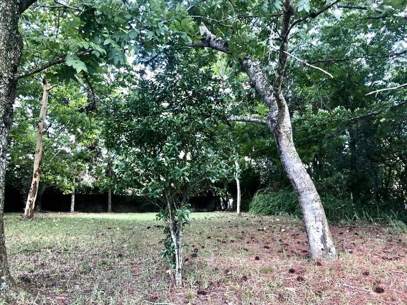 R$ 4.000.000 - PORTEIRA FECHADA - ESPETACULAR S&Iacute;TIO CLUBE COM RESID&Ecirc;NCIA DE ALTO PADR&Atilde;O Estrada do Rincão Porto Alegre - 