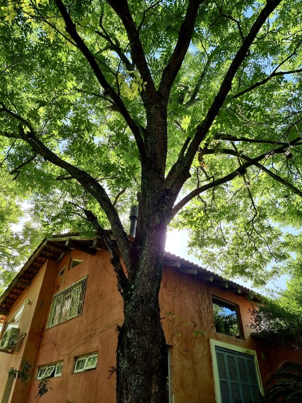 R$ 4.000.000 - PORTEIRA FECHADA - ESPETACULAR S&Iacute;TIO CLUBE COM RESID&Ecirc;NCIA DE ALTO PADR&Atilde;O Estrada do Rincão Porto Alegre - 