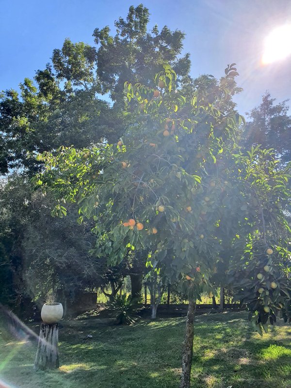 R$ 4.000.000 - PORTEIRA FECHADA - ESPETACULAR S&Iacute;TIO CLUBE COM RESID&Ecirc;NCIA DE ALTO PADR&Atilde;O Estrada do Rincão Porto Alegre - 