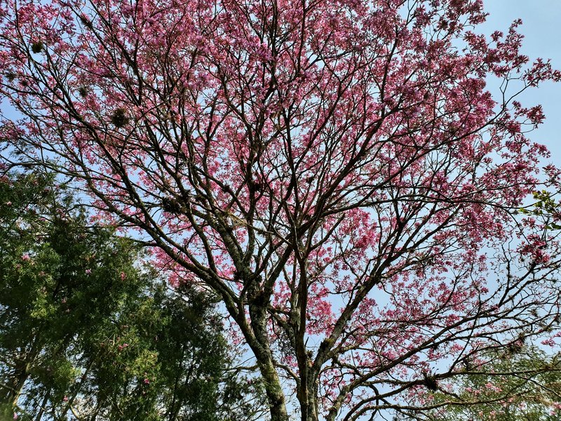 R$ 4.000.000 - PORTEIRA FECHADA - ESPETACULAR S&Iacute;TIO CLUBE COM RESID&Ecirc;NCIA DE ALTO PADR&Atilde;O Estrada do Rincão Porto Alegre - 