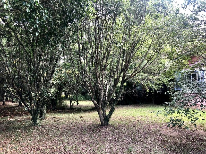 R$ 4.000.000 - PORTEIRA FECHADA - ESPETACULAR S&Iacute;TIO CLUBE COM RESID&Ecirc;NCIA DE ALTO PADR&Atilde;O Estrada do Rincão Porto Alegre - 