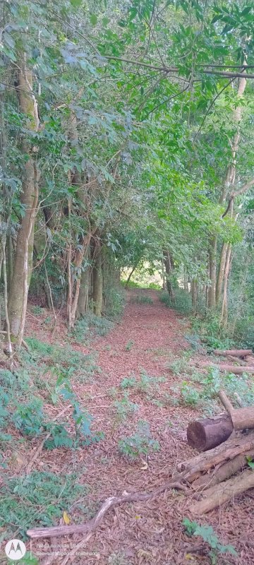✓ Lindo terreno no centro de S&atilde;o Jos&eacute; do Hort&ecirc;ncio  SAO JOSE DO HORTENCIO - 