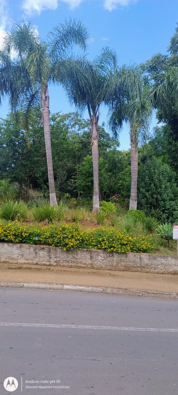 ✓ Lindo terreno no centro de S&atilde;o Jos&eacute; do Hort&ecirc;ncio  SAO JOSE DO HORTENCIO - 