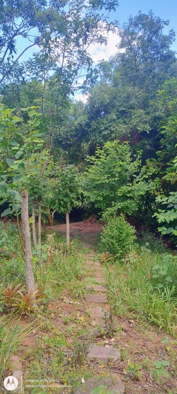 ✓ Lindo terreno no centro de S&atilde;o Jos&eacute; do Hort&ecirc;ncio  SAO JOSE DO HORTENCIO - 