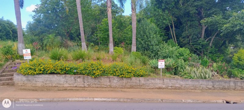 ✓ Lindo terreno no centro de S&atilde;o Jos&eacute; do Hort&ecirc;ncio  SAO JOSE DO HORTENCIO - 
