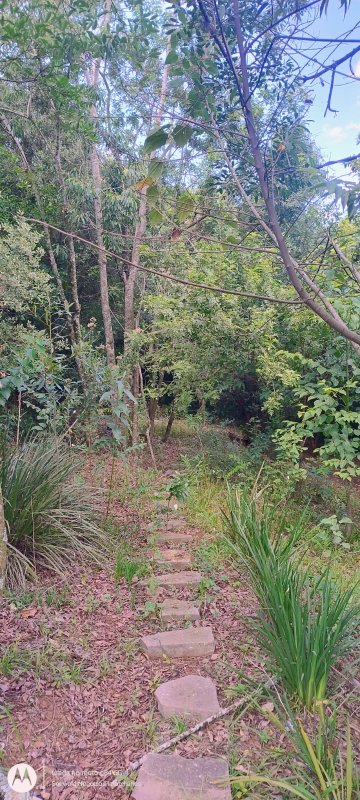 ✓ Lindo terreno no centro de S&atilde;o Jos&eacute; do Hort&ecirc;ncio  SAO JOSE DO HORTENCIO - 
