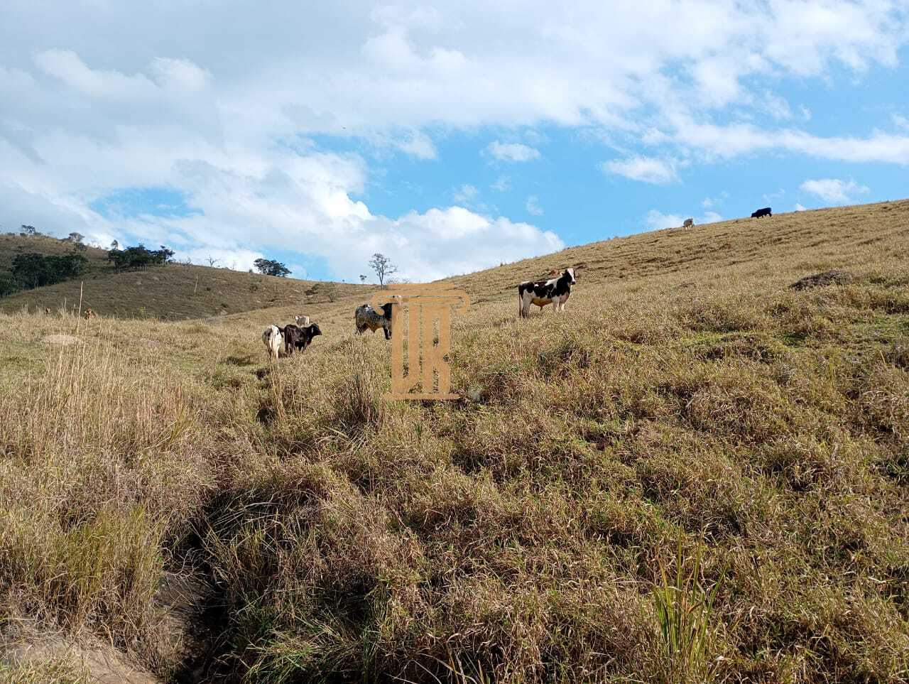 Sitio de 17 alqueires em Lagoinha - SP  LAGOINHA - 