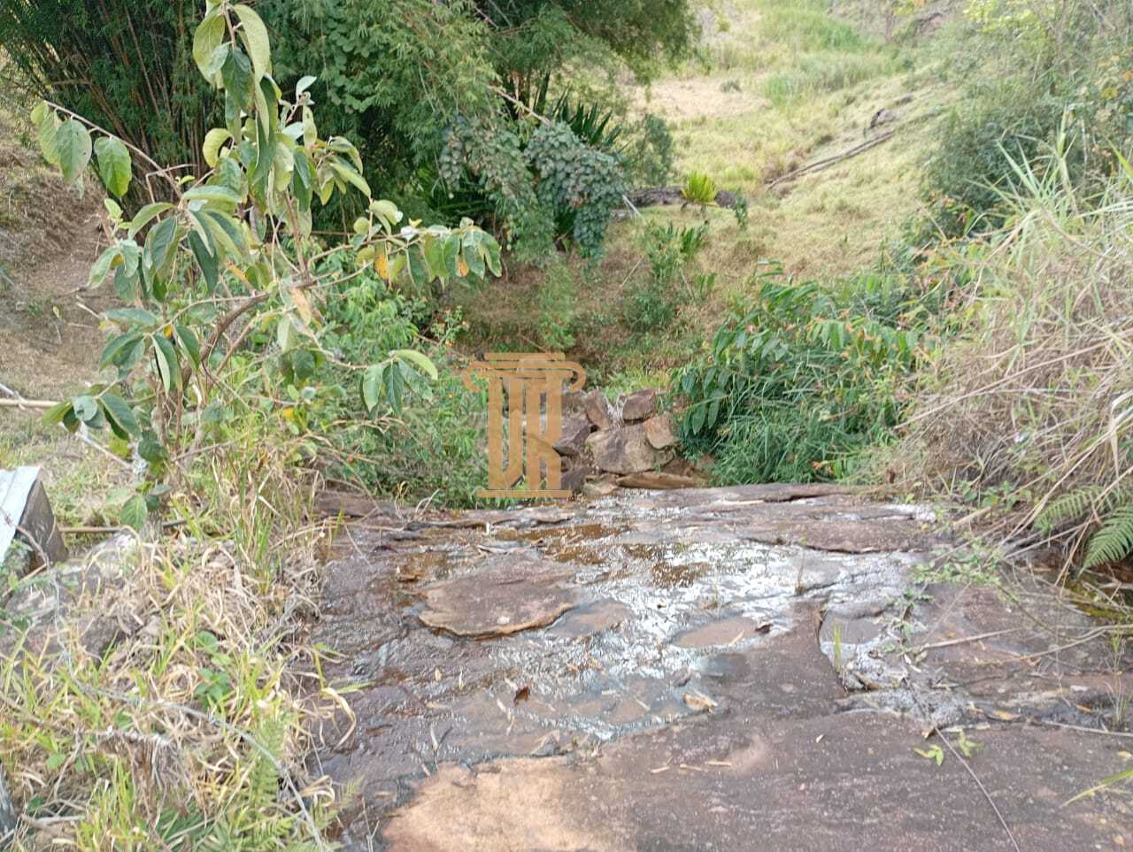 Sitio de 17 alqueires em Lagoinha - SP  LAGOINHA - 