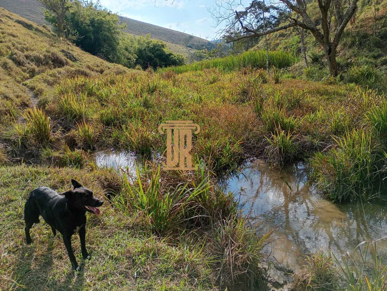 Sitio de 17 alqueires em Lagoinha - SP  LAGOINHA - 