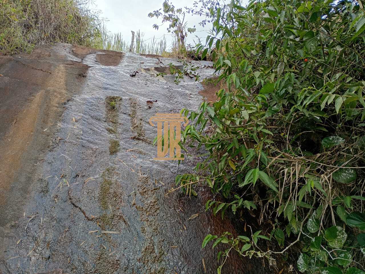 Sitio de 17 alqueires em Lagoinha - SP  LAGOINHA - 