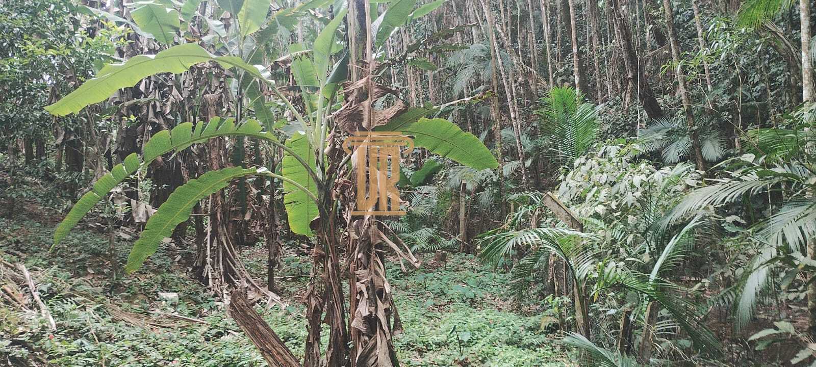 &nbsp;Ch&aacute;cara com 4.500m&sup2; na zona norte de S&atilde;o Jos&eacute; dos Campos- SP com 2 casas  São José dos Campos - 