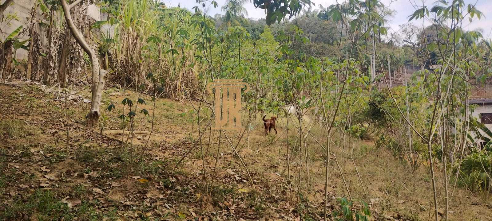 &nbsp;Ch&aacute;cara com 4.500m&sup2; na zona norte de S&atilde;o Jos&eacute; dos Campos- SP com 2 casas  São José dos Campos - 