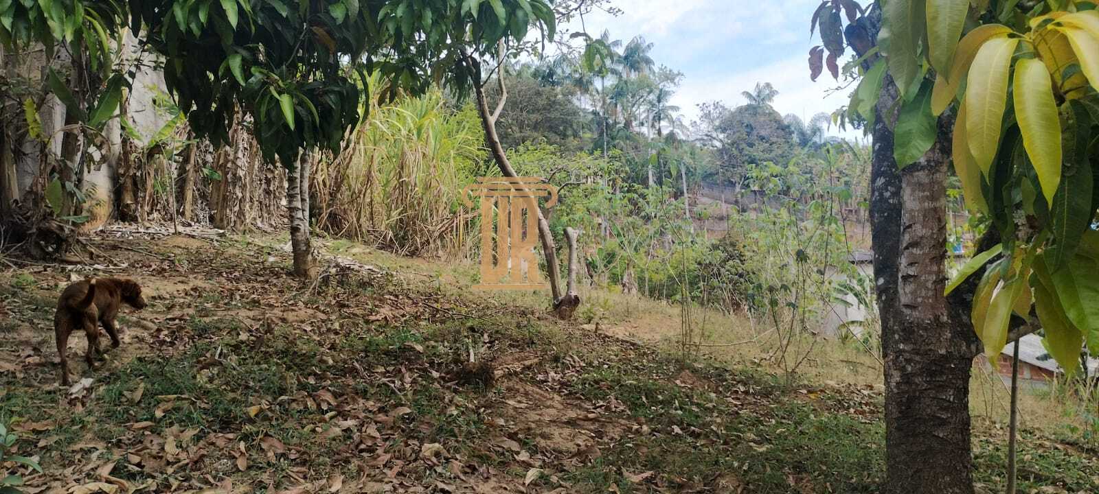 &nbsp;Ch&aacute;cara com 4.500m&sup2; na zona norte de S&atilde;o Jos&eacute; dos Campos- SP com 2 casas  São José dos Campos - 