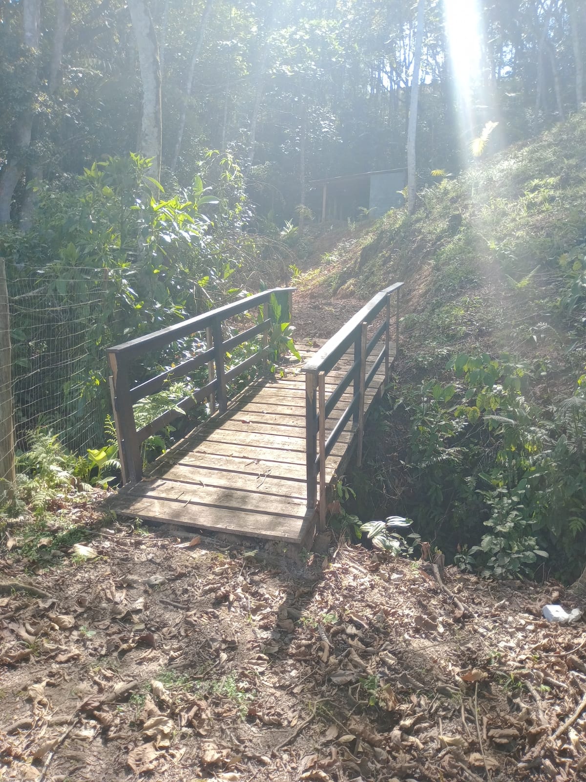 Sitio no bairro Oliveira em Tijucas Sc Rua cantos dos Mathias Tijucas - 