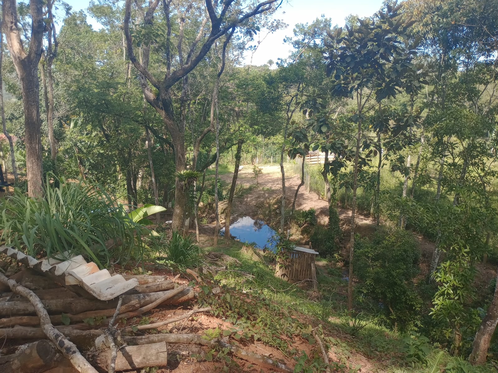 Sitio no bairro Oliveira em Tijucas Sc Rua cantos dos Mathias Tijucas - 