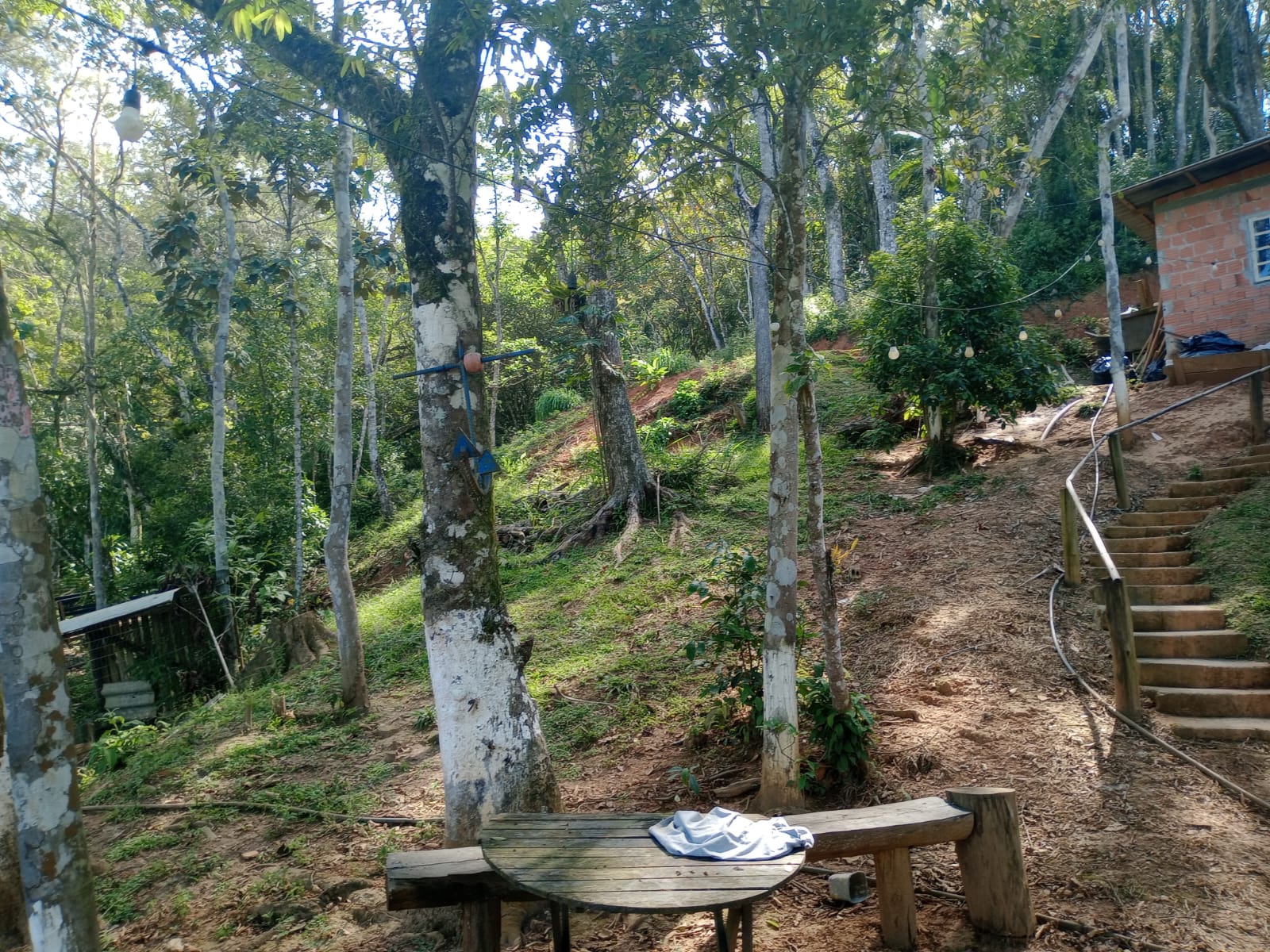 Sitio no bairro Oliveira em Tijucas Sc Rua cantos dos Mathias Tijucas - 