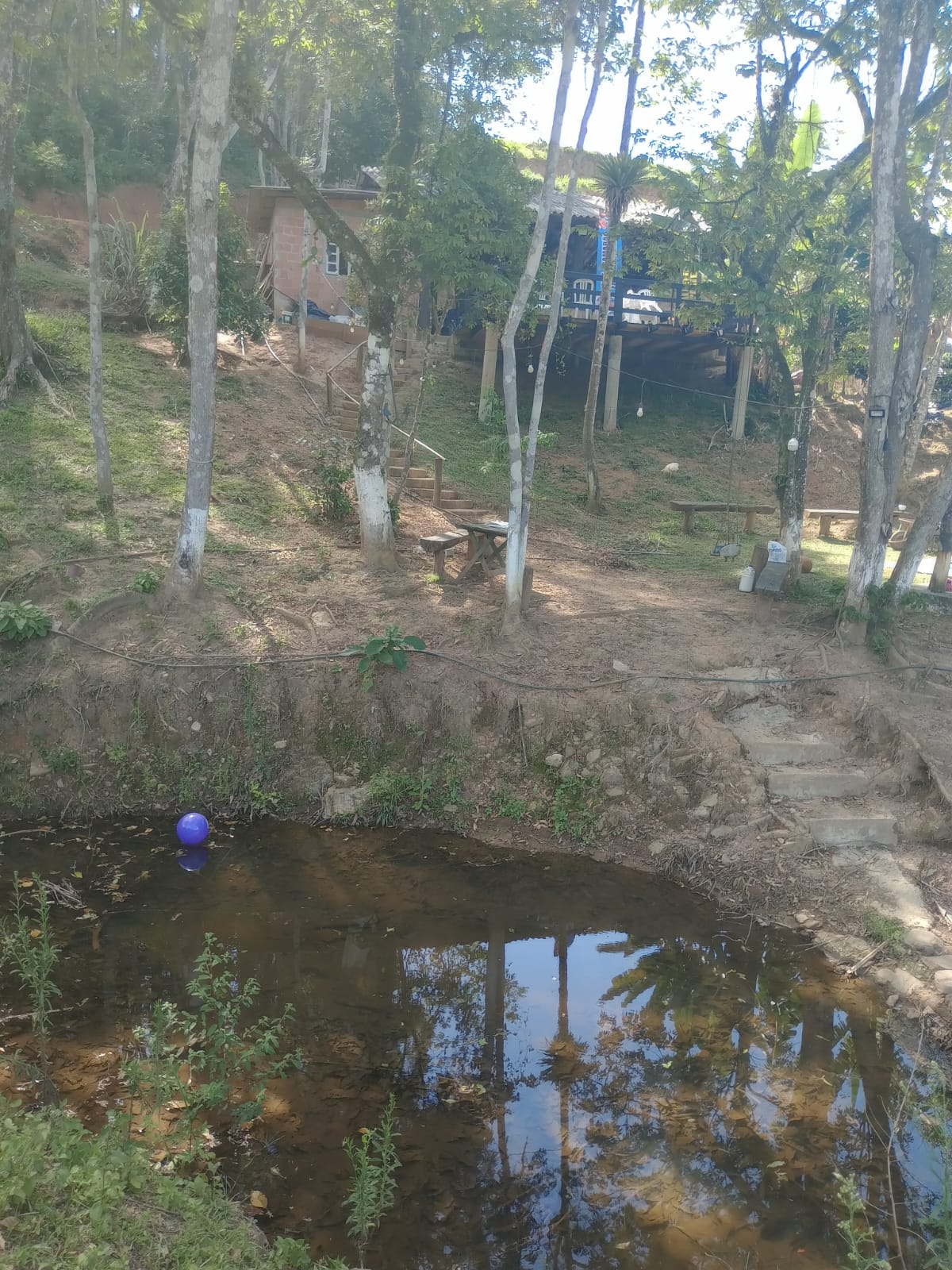 Sitio no bairro Oliveira em Tijucas Sc Rua cantos dos Mathias Tijucas - 