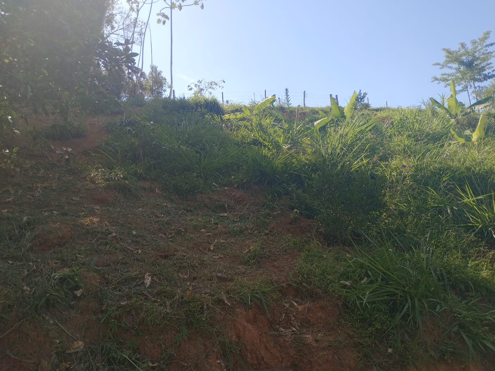 Sitio no bairro Oliveira em Tijucas Sc Rua cantos dos Mathias Tijucas - 