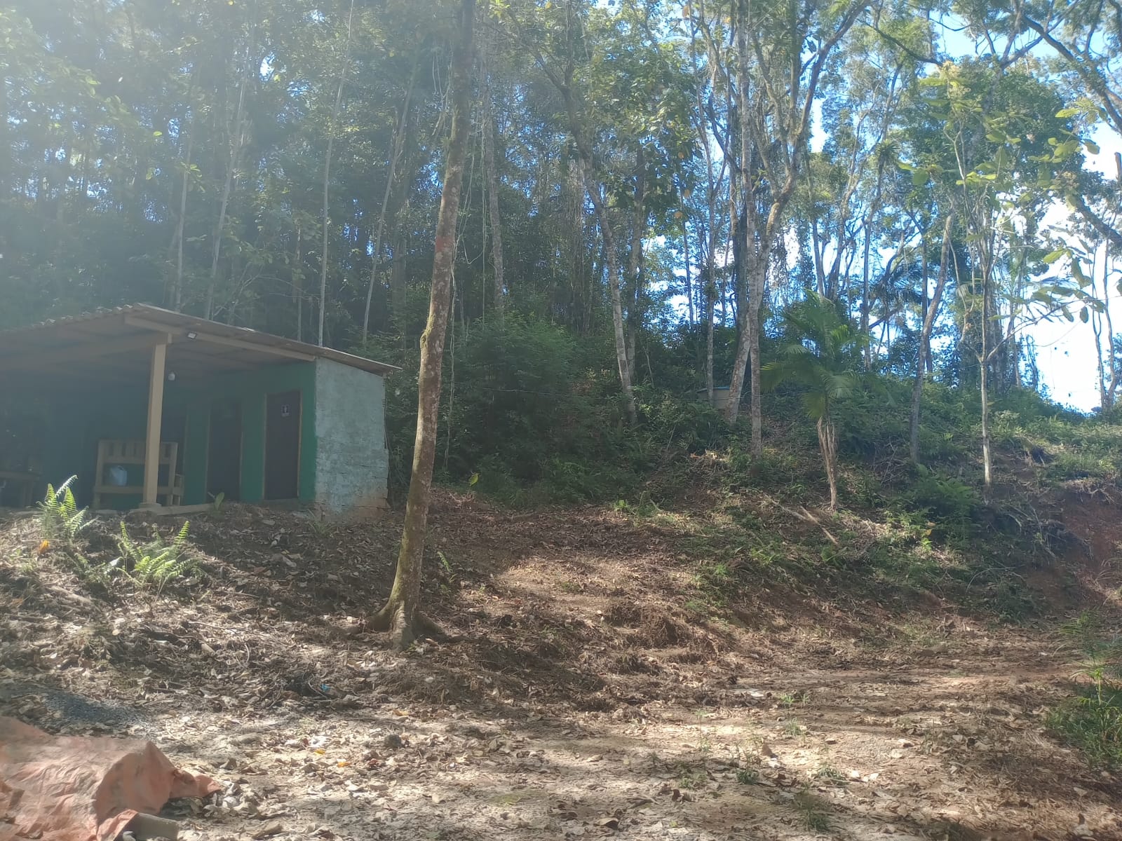 Sitio no bairro Oliveira em Tijucas Sc Rua cantos dos Mathias Tijucas - 