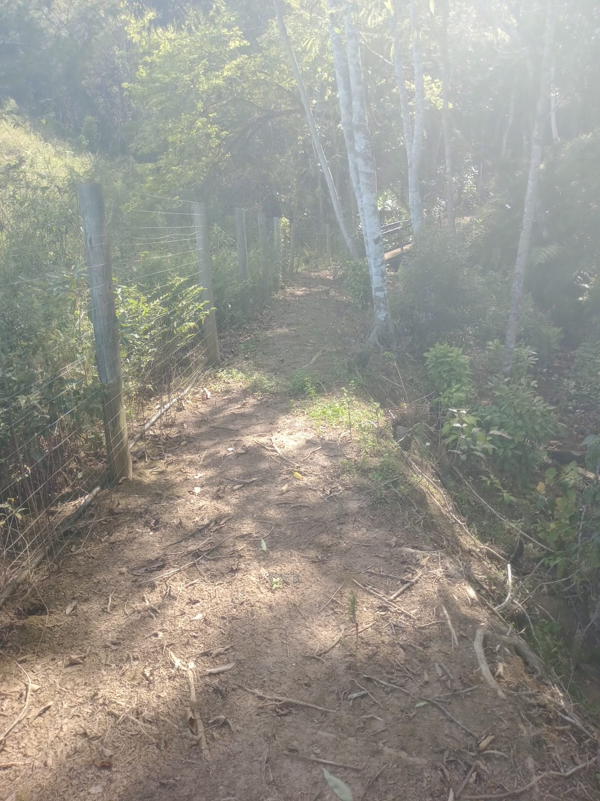 Sitio no bairro Oliveira em Tijucas Sc Rua cantos dos Mathias Tijucas - 
