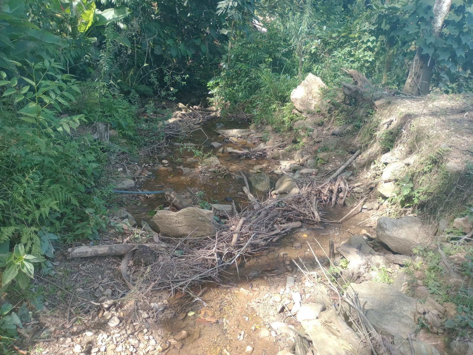 Sitio no bairro Oliveira em Tijucas Sc Rua cantos dos Mathias Tijucas - 