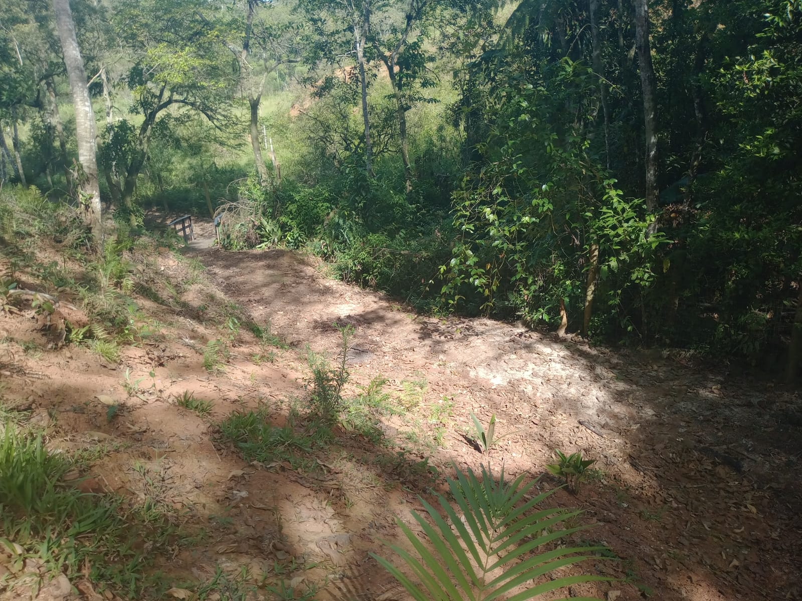 Sitio no bairro Oliveira em Tijucas Sc Rua cantos dos Mathias Tijucas - 