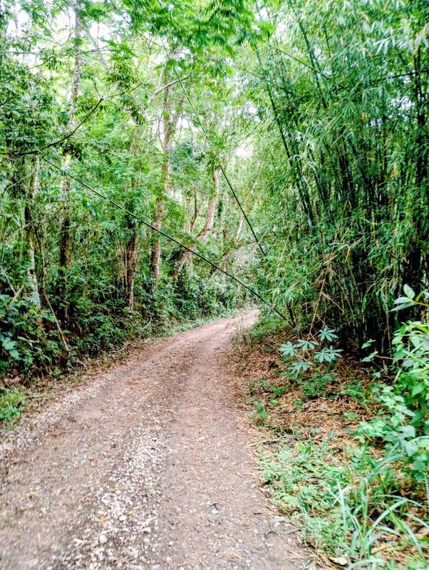 S&iacute;tio &agrave; venda na Serra da Boa Vista  Igaratá - 