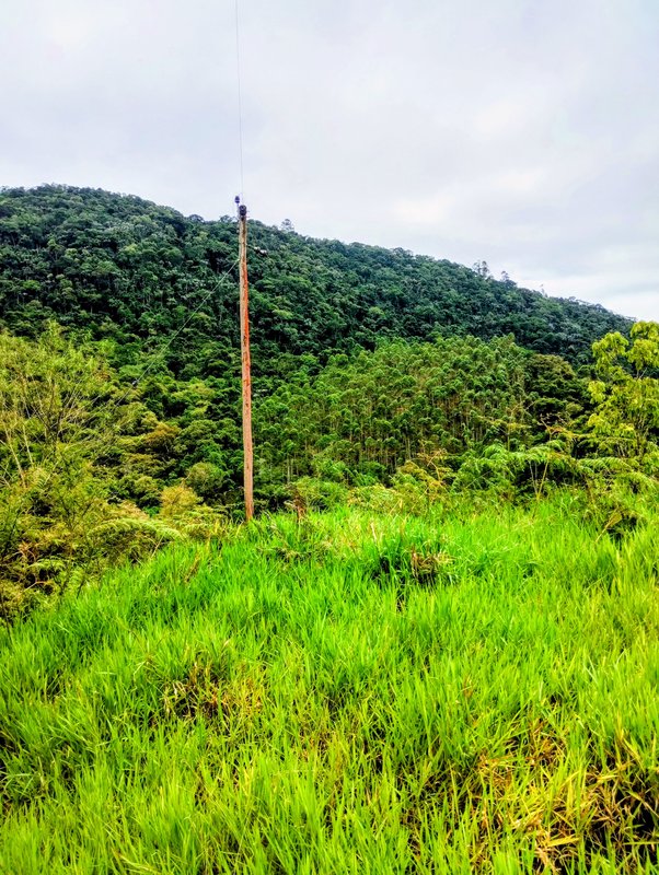 S&iacute;tio &agrave; venda na Serra da Boa Vista  Igaratá - 