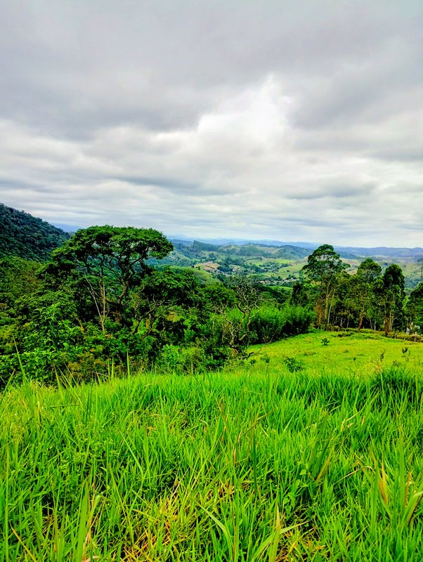 S&iacute;tio &agrave; venda na Serra da Boa Vista  Igaratá - 