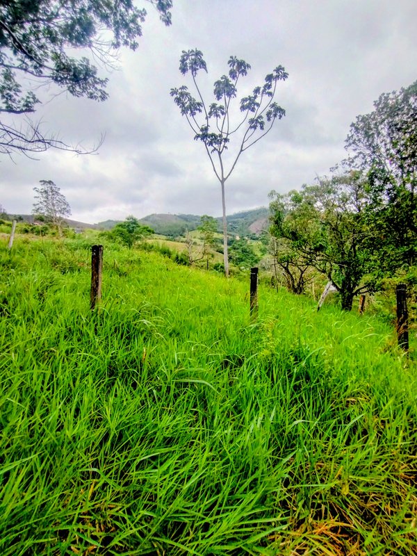 S&iacute;tio &agrave; venda na Serra da Boa Vista  Igaratá - 