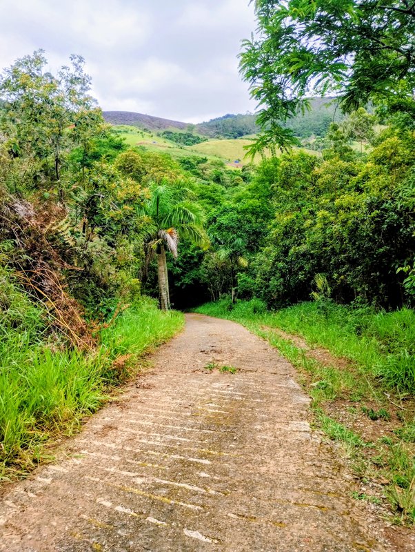 S&iacute;tio &agrave; venda na Serra da Boa Vista  Igaratá - 