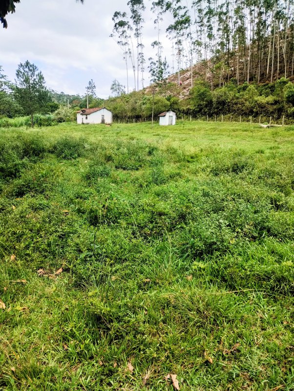 S&iacute;tio com &oacute;tima topografia &agrave; venda no Bairro Alto  Igaratá - 