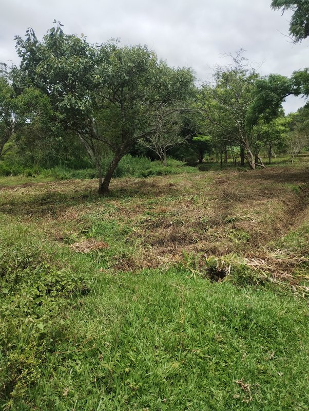 S&iacute;tio com &oacute;tima topografia &agrave; venda no Bairro Alto  Igaratá - 