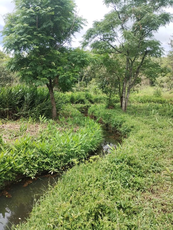 S&iacute;tio com &oacute;tima topografia &agrave; venda no Bairro Alto  Igaratá - 