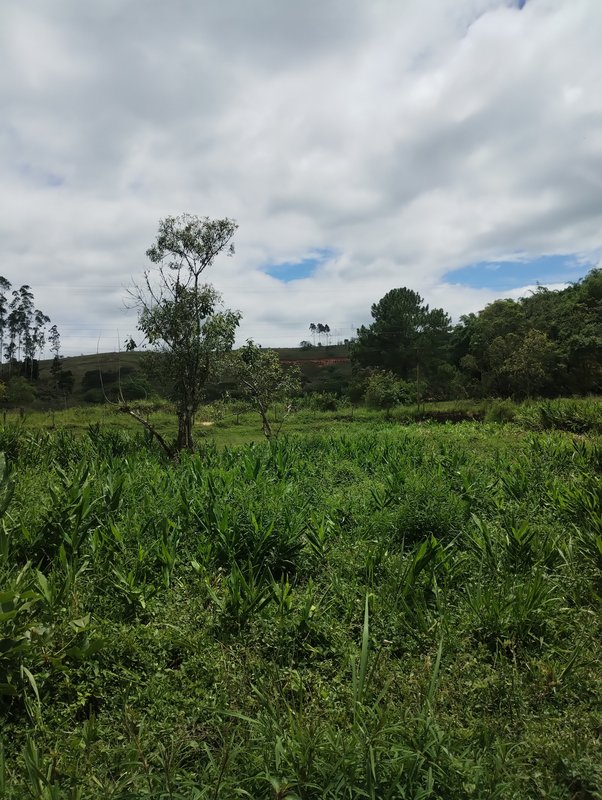 S&iacute;tio com &oacute;tima topografia &agrave; venda no Bairro Alto  Igaratá - 