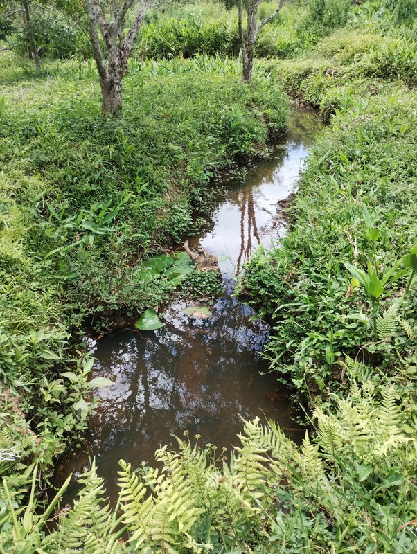 S&iacute;tio com &oacute;tima topografia &agrave; venda no Bairro Alto  Igaratá - 