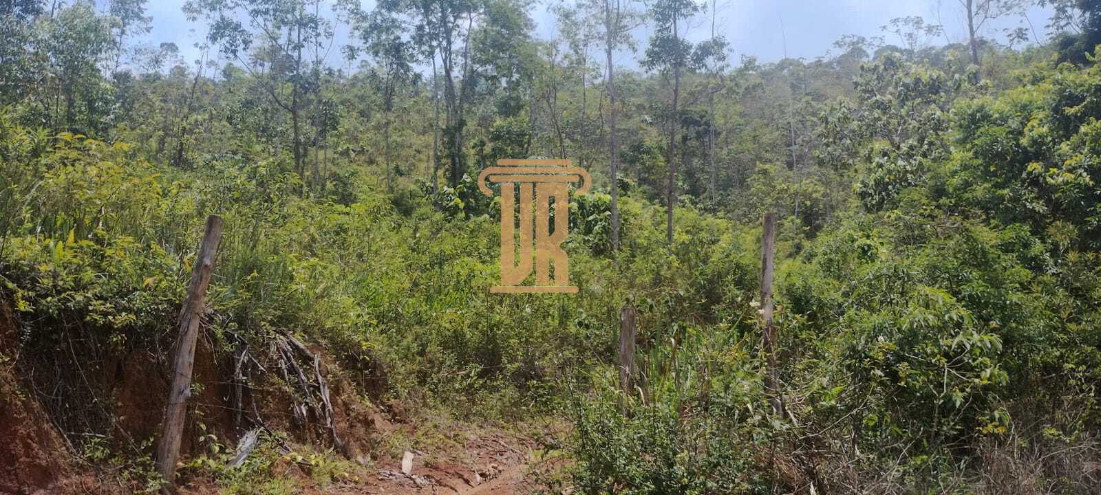 &Aacute;rea Rural &agrave; Venda com 4 Hectares em Monteiro Lobato-SP  MONTEIRO LOBATO - 