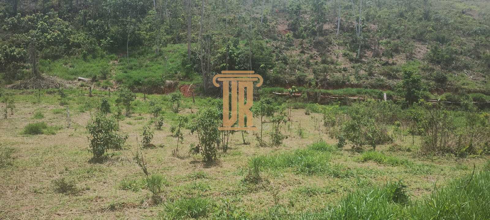 &Aacute;rea Rural &agrave; Venda com 4 Hectares em Monteiro Lobato-SP  MONTEIRO LOBATO - 