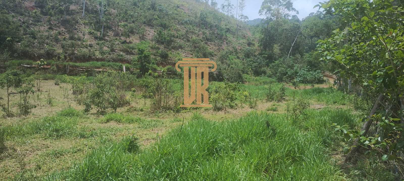 &Aacute;rea Rural &agrave; Venda com 4 Hectares em Monteiro Lobato-SP  MONTEIRO LOBATO - 