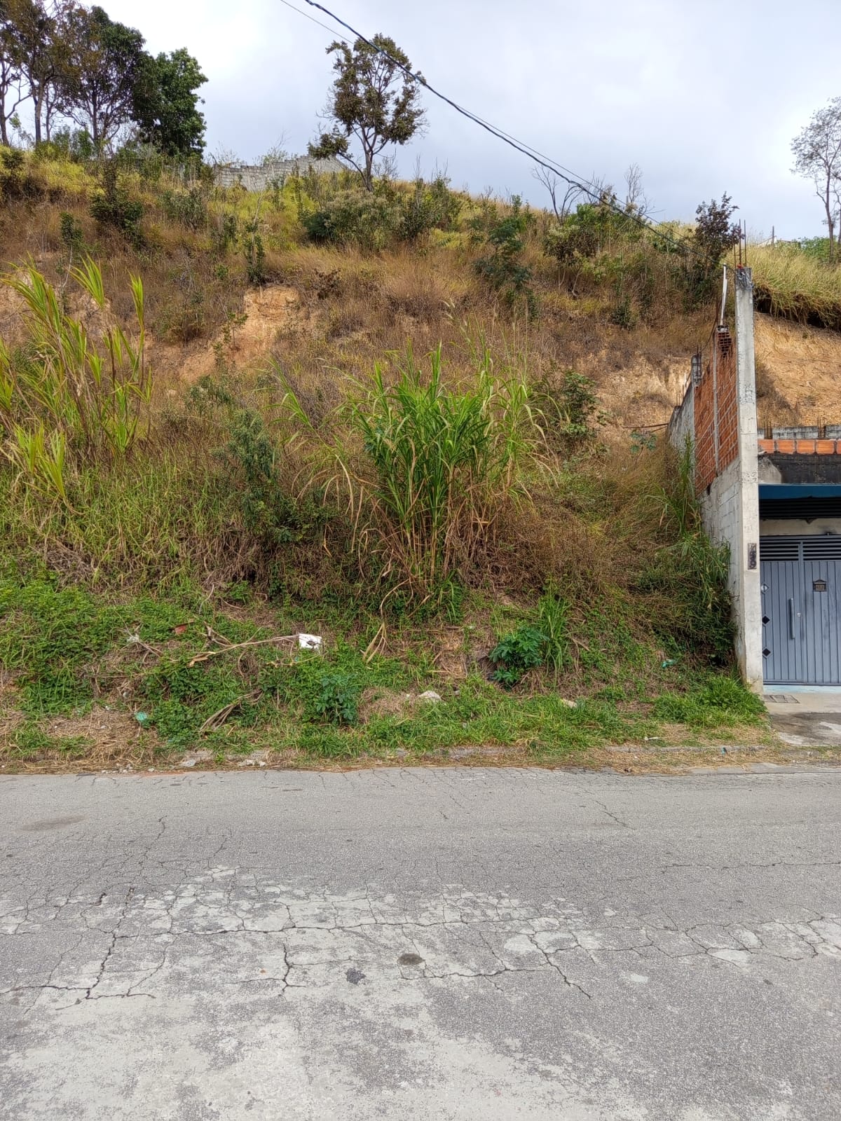 Oportunidade Terreno Jardim Marcelino Rua Sylvio Bertolini Caieiras - 