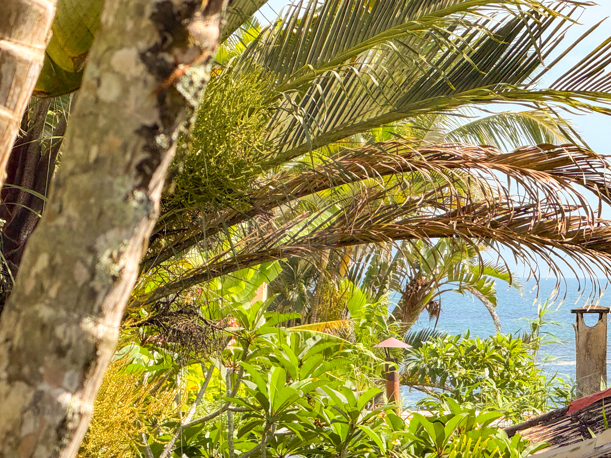 Casa charmosa, aconchegante com piscina privativa em Cond. Barra do Una  -LOCA&Ccedil;&Atilde;O DI&Aacute;RIA  São Sebastião - 