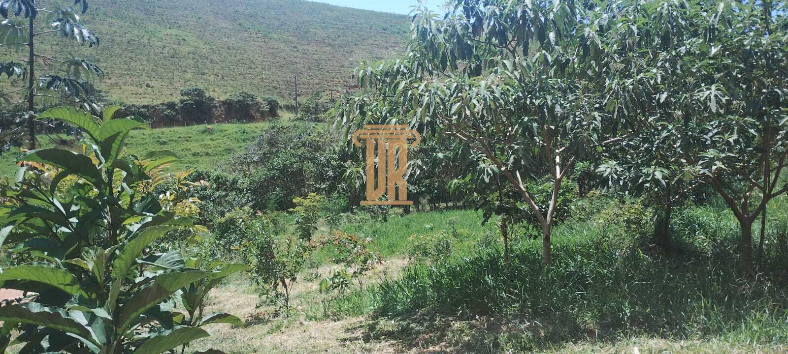 S&iacute;tio &agrave; Venda de 4 Hectares em Monteiro Lobato- SP  MONTEIRO LOBATO - 